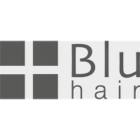 Blu Hair and Beauty Ltd 1078216 Image 0